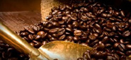 Max Voets Coffee - Evident New Media website graphic print design marketing Vernon, Kelowna, B.C.